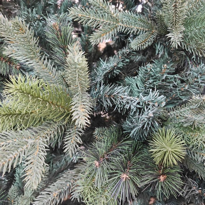 Albero di Natale Clifford grande - immagine 3