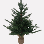 Albero di Natale Victor piccolo pinetto