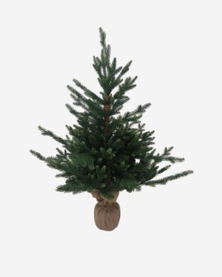 Albero di Natale Victor piccolo pinetto