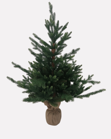 Albero di Natale Victor piccolo pinetto
