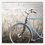 Quadro bicicletta blu