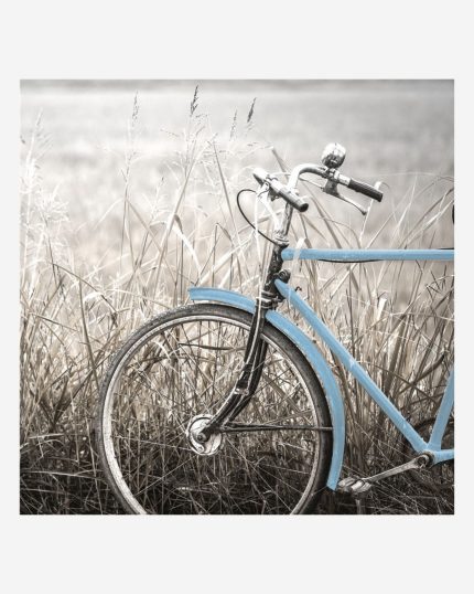 Quadro bicicletta blu