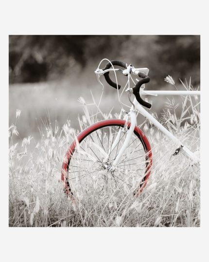 Quadro bicicletta rossa