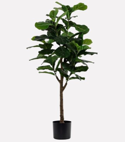 Pianta artificiale Ficus Lyrata