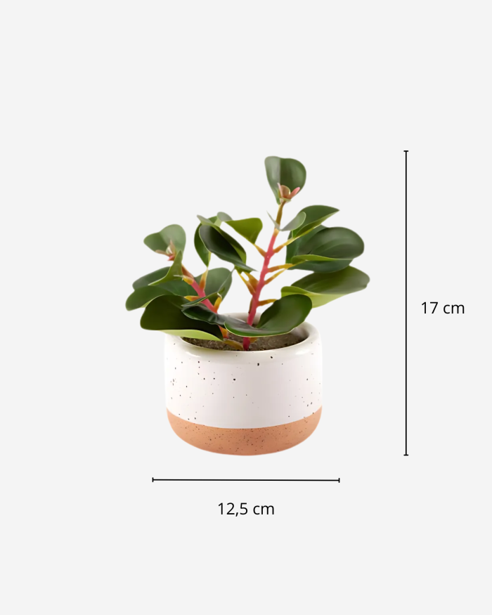 Pianta succulenta artificiale in vaso - immagine 3