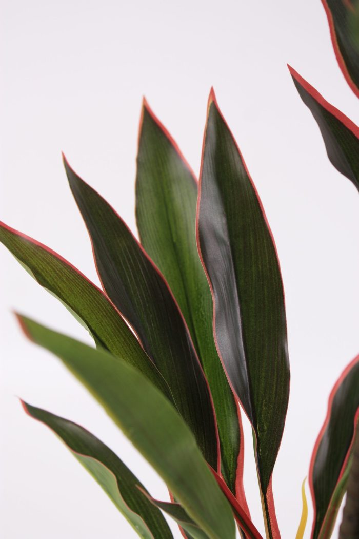 Pianta artificiale Dracaena - immagine 3