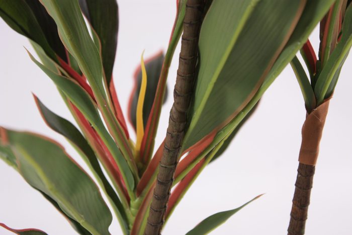 Pianta artificiale Dracaena - immagine 4