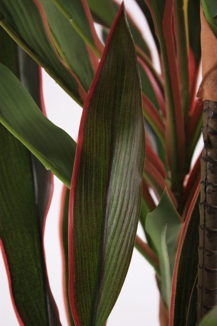 Pianta artificiale Dracaena - immagine 5