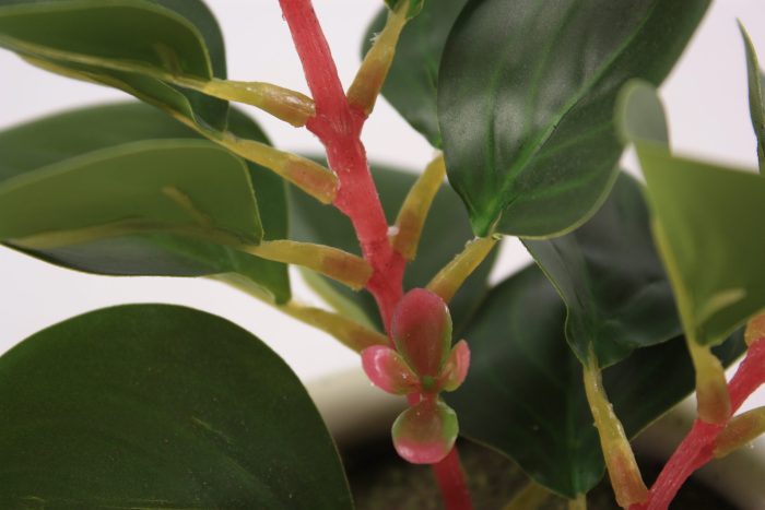 Pianta succulenta artificiale in vaso - immagine 5