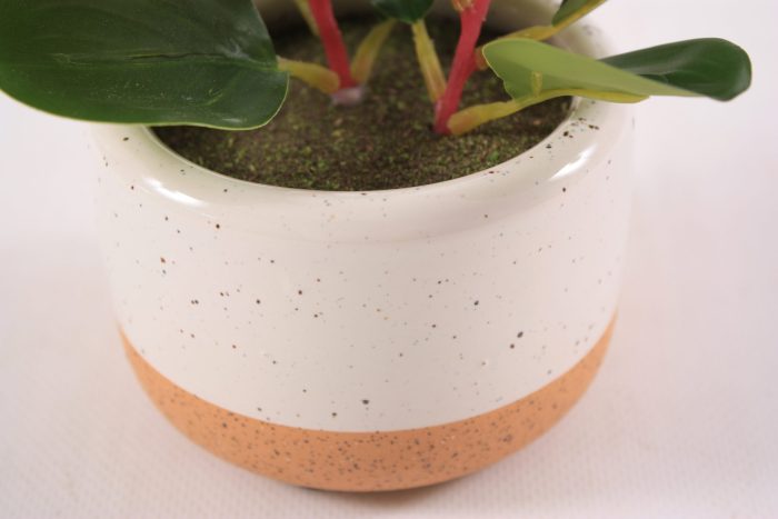 Pianta succulenta artificiale in vaso - immagine 6