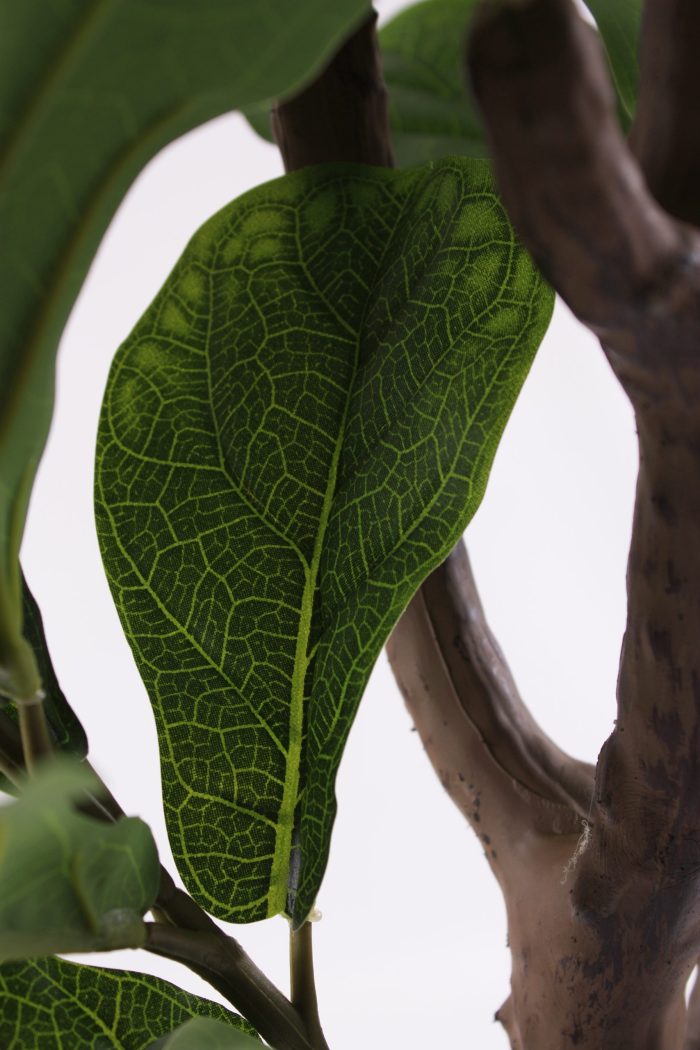 Pianta artificiale Ficus Lyrata - immagine 4